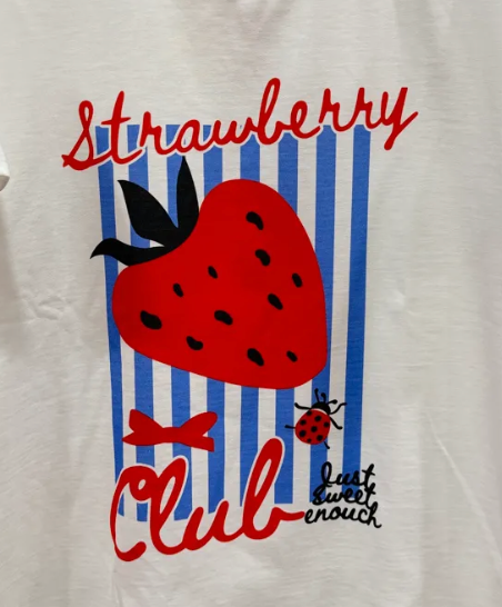Tee-shirt blanc en jersey manches courte - Taille unique 36-46 (2 modèles)