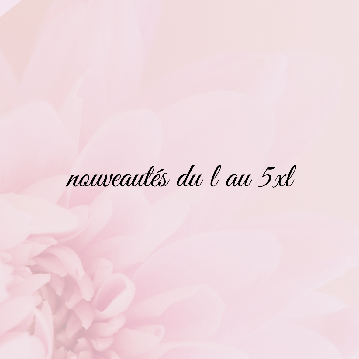 Nouveautés du L au 5XL - C MON DRESSING