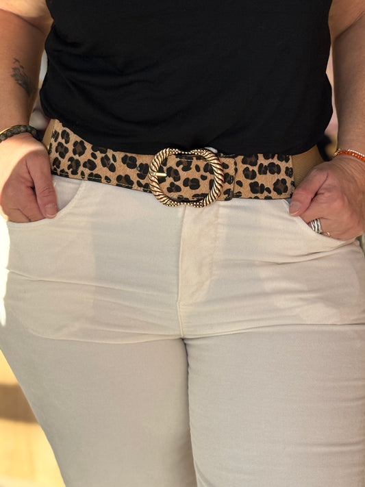 Ceinture léopard élastique à boucle dorée – Taille unique 34/46