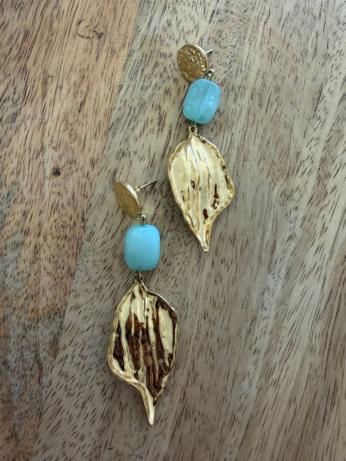 Boucle d'oreille pendantes (2 couleurs)